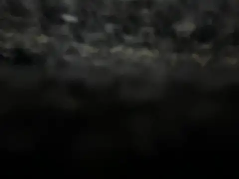 Snapshot of _my_ass_ chatting on February 9, 10:00 pm my ass online show from February 9, 10:00 pm