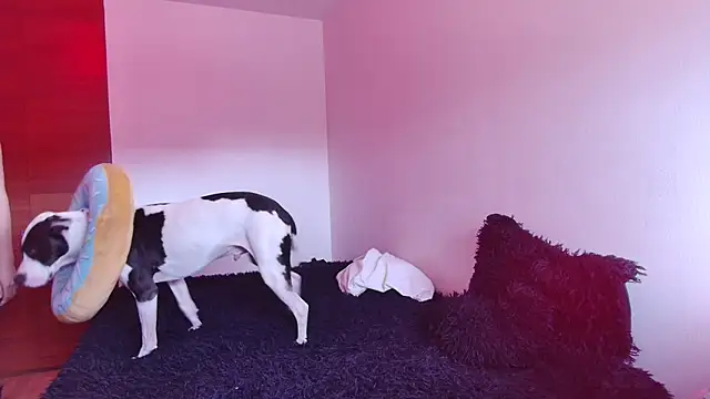 Snapshot of bellatrix25 chatting on January 30, 6:10 pm bellatrix25 online show from January 30, 6:10 pm