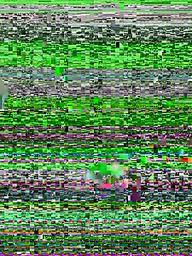 YawlingJingoist online show from March 19, 11:20 pm