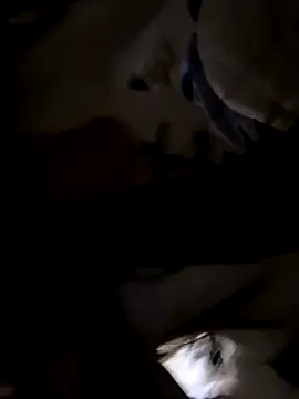 Sweet-Angel999 online show from November 30, 5:28 pm