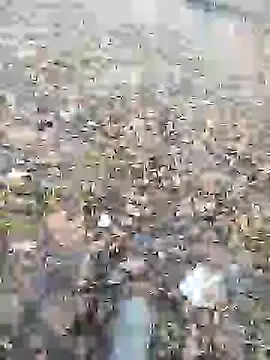 Snapshot of Nik888Nik888 chatting on January 9, 8:03 am Nik888Nik888 online show from January 9, 8:03 am