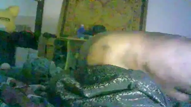 DI4MOND FIR3 online show from February 2, 12:48 pm