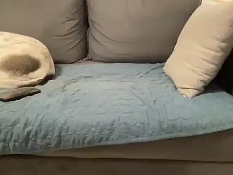 Snapshot of 4small4inchlol chatting on February 20, 11:49 pm 4small4inchlol online show from February 20, 11:49 pm