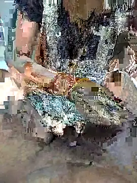 FeltedEuropium online show from November 22, 9:19 am