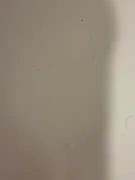 Snapshot of Serkan3356 chatting on February 9, 12:31 pm Serkan3356 online show from February 9, 12:31 pm