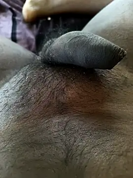 goodszy online show from December 3, 5:04 am