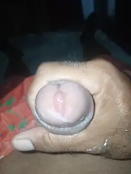 taylorWiiz online show from November 22, 11:37 pm