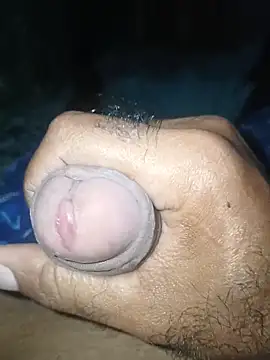 taylorWiiz online show from November 26, 6:31 pm