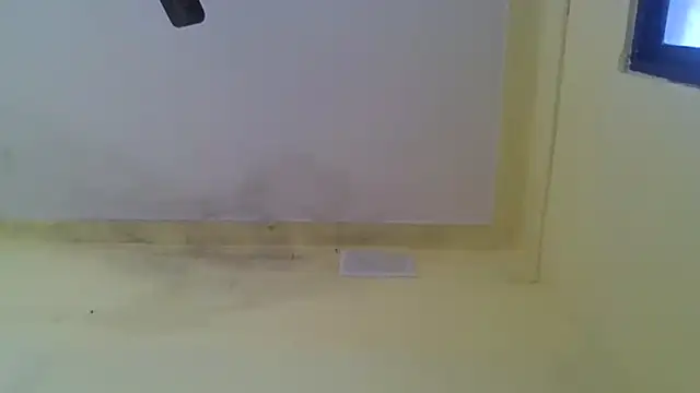 Nitya-Mahesh online show from January 20, 9:24 am