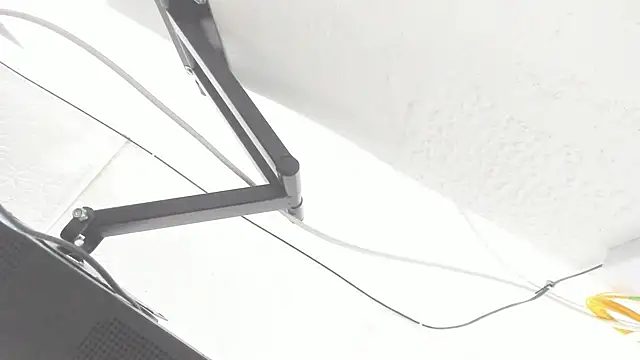 lin jayani online show from September 14, 12:15 pm