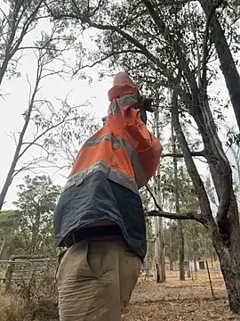 ausbod online show from January 5, 8:00 am