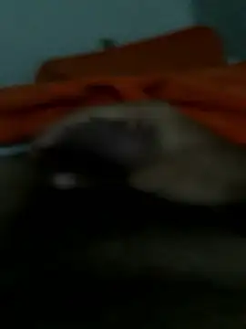 lm279 online show from January 14, 3:06 pm