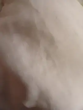 Snapshot of clemhotxxxx chatting on December 2, 8:48 pm clemhotxxxx online show from December 2, 8:48 pm