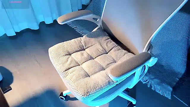 Snapshot of FEIYU001 chatting on December 8, 1:36 pm FEIYU001 online show from December 8, 1:36 pm