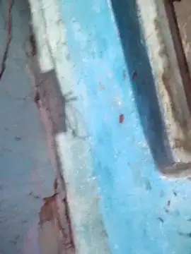 Snapshot of Natasha-In69 chatting on December 15, 8:46 pm Natasha-In69 online show from December 15, 8:46 pm