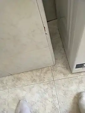 Snapshot of user_662 chatting on February 20, 11:43 am user 662 online show from February 20, 11:43 am