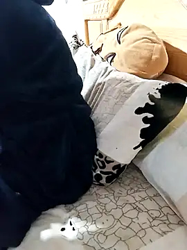 jijijoudia online show from January 18, 11:43 am