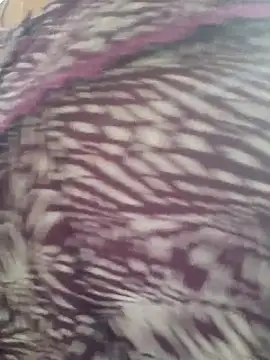 samitasharma online show from November 14, 4:00 am