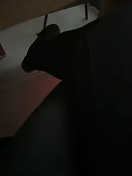 homidor online show from December 20, 2:16 pm