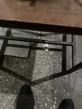 homidor online show from January 11, 6:44 pm