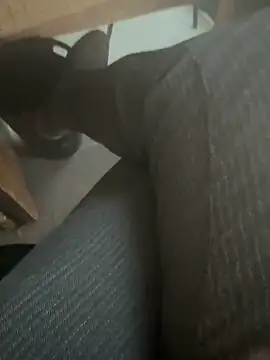 homidor online show from February 3, 2:34 pm