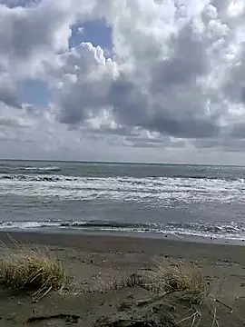 Snapshot of dhaadhawe chatting on March 21, 11:59 am dhaadhawe online show from March 21, 11:59 am