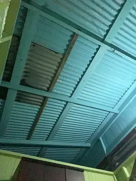 islandvybee55 online show from January 11, 9:14 am