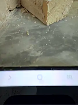 seloloko20 online show from December 1, 8:08 am