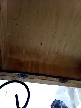 Snapshot of DaniSexFlow chatting on October 13, 4:34 am DaniSexFlow online show from October 13, 4:34 am