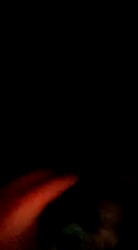 doggiepossession online show from March 7, 2:45 pm