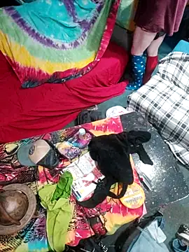 Boo-boo kittyfux online show from October 15, 8:47 am