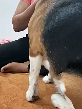 Snapshot of sissarahotty chatting on February 2, 11:21 pm sissarahotty online show from February 2, 11:21 pm