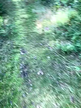 Zbochunec online show from September 13, 11:43 am