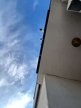 eddy355 online show from November 9, 9:51 am