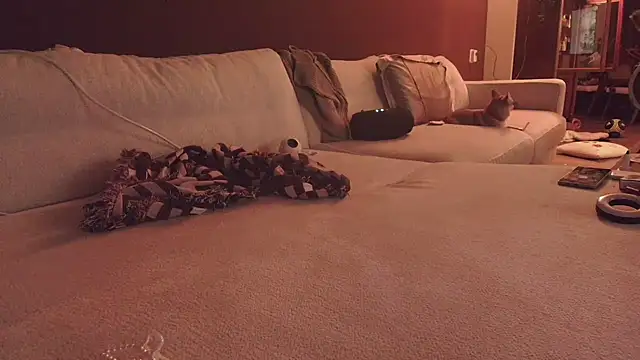 Nina24 online show from October 16, 6:42 pm