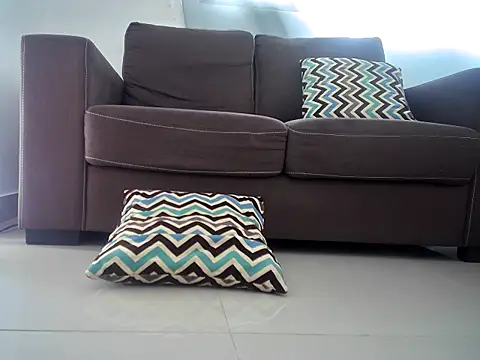 charlyporno22 online show from February 21, 6:15 pm