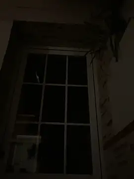 Imperial 10 online show from December 6, 2:46 am