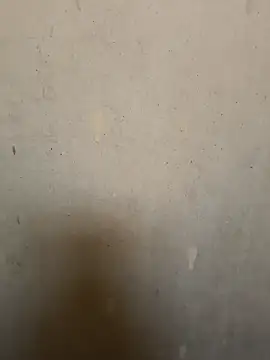 Snapshot of loveme99004 chatting on February 16, 2:29 am loveme99004 online show from February 16, 2:29 am