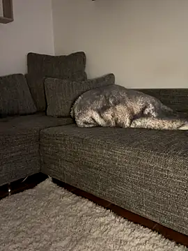 godspot  online show from October 30, 8:20 pm