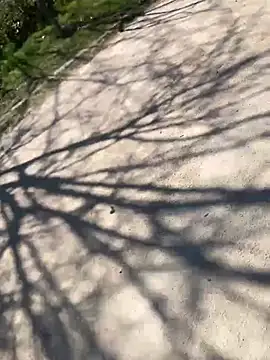 Lucascacaca online show from March 24, 1:05 pm