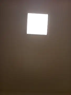 Porzz-6 online show from November 18, 10:03 pm