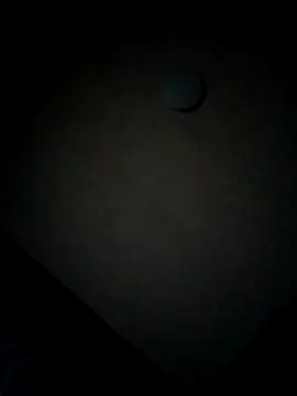 Snapshot of minitranca chatting on February 12, 10:05 pm minitranca online show from February 12, 10:05 pm