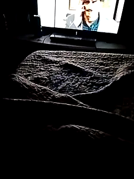 Snapshot of minitranca chatting on February 21, 3:18 am minitranca online show from February 21, 3:18 am