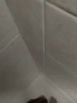 catopper0001 online show from November 8, 3:23 pm