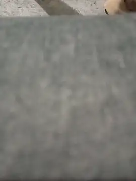 strip 1212 online show from March 26, 6:08 am