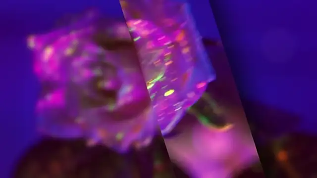 Snapshot of HeyBananas chatting on October 22, 5:56 pm HeyBananas online show from October 22, 5:56 pm