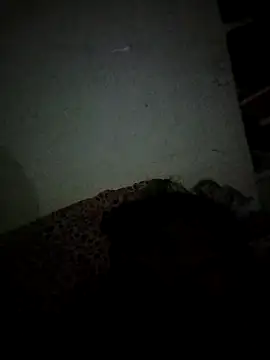 Karthik924 online show from February 21, 5:09 pm