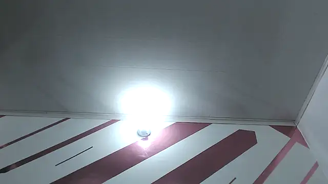 Kitten Hot  online show from December 18, 10:21 am