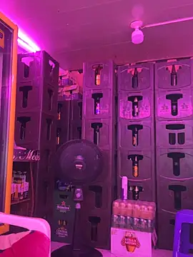 Hot beauty   online show from March 27, 3:23 am