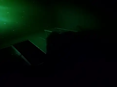 6MataGarcia online show from November 7, 11:10 am